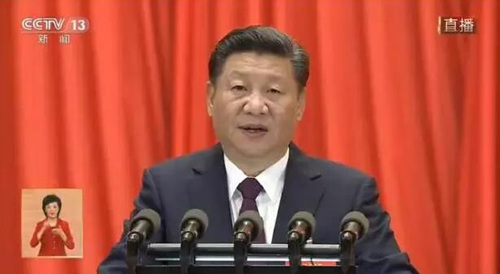 113.jpg