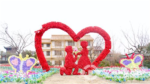 IMG_1968(20180210-145237).jpg