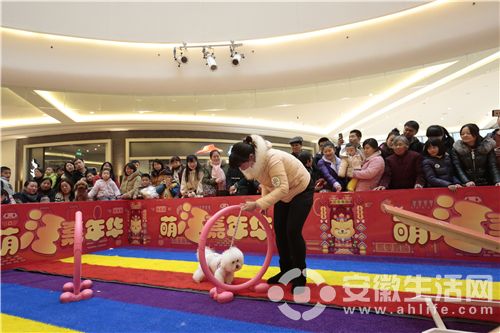 _MG_5045_.jpg