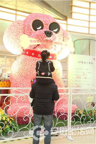 IMG_6844.JPG