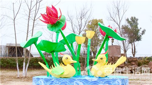 IMG_1975(20180210-145545).jpg