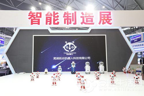 FV3A0260_.jpg