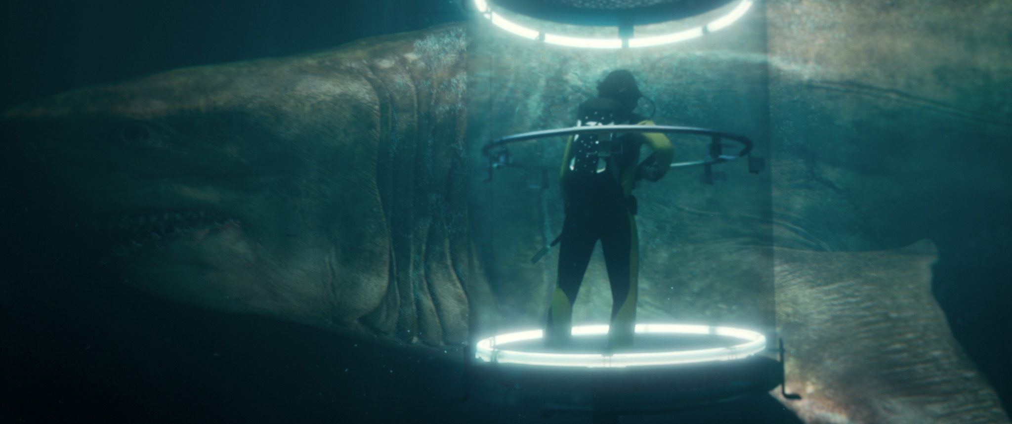 MEG-FP-0007_High_Res_JPEG.jpeg