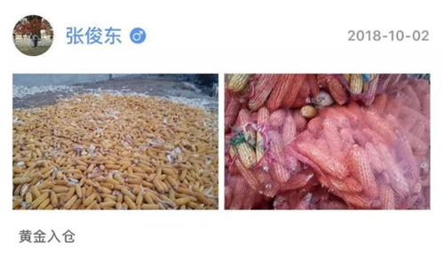 DƬ4.jpg