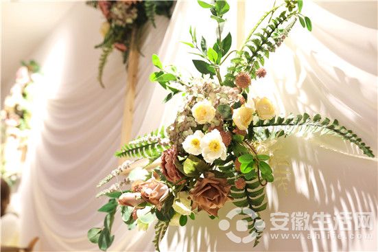 IMG_3951(20181128-023706).jpg