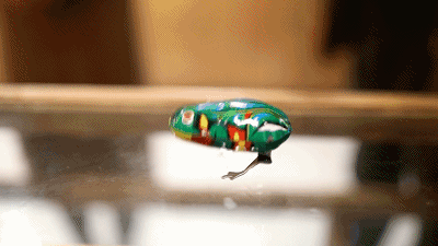640 (16).gif