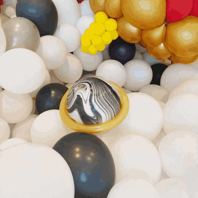(dng)D 1.gif